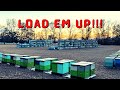 LOAD EM UP! Moving & Loading Pollination  Bees