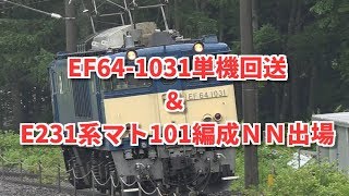 【ＥＦ６４－１０３１単機回送＆Ｅ２３１系マト１０１編成ＮＮ出場】