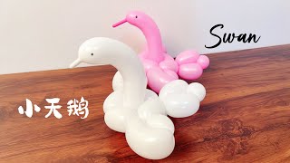 Swan balloon shape 小天鹅气球造型教学