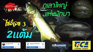 EP.6 ตกปลาชายฝั่ง ปลากุเลาใหญ่ที่พัทยา   สอนทำชุดหน้าท้ายคลิป