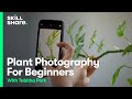 Plant Photography for Beginners