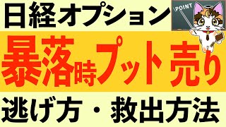 暴落時プットオプション売りの決済の仕方、オプションは半導体関連株とかTECLみたいなETFとかとは全く違うので出来高なくても大丈夫ジャクソンホールやパウエル議長の発言で暴落したって平気