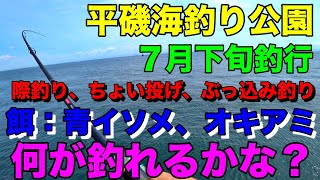 平磯海釣り公園でアオイソメとオキアミを使って際釣りやちょい投げ、ぶっ込み釣りをしてみたら小魚大量に釣れました