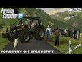 The TRUCK flipped on the SLIPPERY HILL | Forestry on ERLENGRAT | Farming Simulator 22 | Episode 22