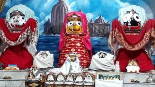 Mangal Arati Darshan at ISKCON Gourdham Habibpur-full video 🙏