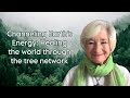 Channelling Earth's Energy: Healing the World Through the Tree Network