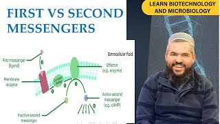 Differences Between First and Second Messengers