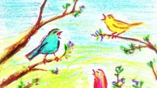 春ー初夏のさえずり 野鳥録音（効果音）Spring Birds Singing Recording Sound Effect