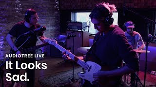 It Looks Sad. on Audiotree Live (Full Session)