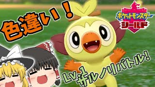 【ポケモン剣盾】産まれたての色違いサルノリでバトル！？色違いでサルノリバトルを制したい！【ゆっくり実況】