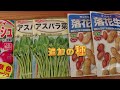 野菜つくってるよ 春蒔き野菜の準備　　i love vegetable gardening　 shorts