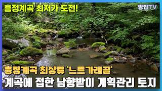 [땅집TV 계곡특집]흥정계곡 최상류 토지가 최저가에 도전합니다.