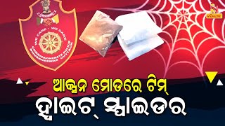 ଆକ୍ସନ ମୋଡରେ ଟିମ୍ ହ୍ୱାଇଟ୍ ସ୍ପାଇଡର : ଟାର୍ଗେଟରେ ଖୁଚୁରା ବେପାରୀ । NandighoshaTV