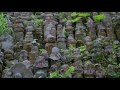 okunoin cemetery koyasan wakayama 奥の院 4k ultra hd