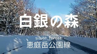 【白銀の森】2024.1.19 雪化粧が美しい恵庭岳公園線の走行動画