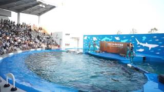 仙台うみの杜水族館　2015/07/14　最終回後半