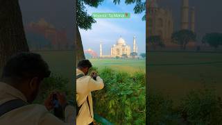 BTS OF TAJ MAHAL CINEMATIC SLOWMO #bts #tajmahal #ytshorts #shorts #cinematic #slowmo