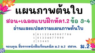 คณิต ม.2 อ่านแปลแผนภาพต้นใบ เฉลยแบบฝึก1.2 ข้อ 3,4