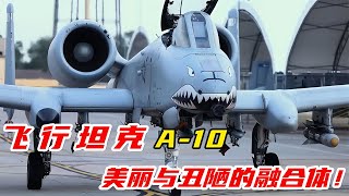 飛行坦克A-10：美麗與丑陋的完美結合！ #军事武器 #军迷 #涨知识 #武器科普 #终结者