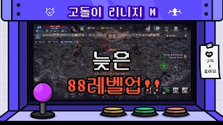 [리니지M] 늦은 88레벨업 과 기사1작위, 무과금 컬렉션 도전!!