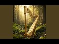 Harp Peace