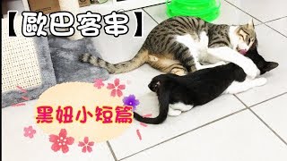 黑妞小短篇#39-最後...把歐巴踩在腳下❤