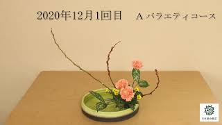 花の定期便　生け方動画　赤芽柳（アカメヤナギ）　カーネーション　小菊　ロベ