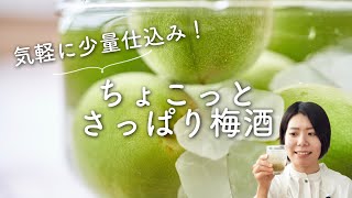 【少量で仕込み！】ちょこっとさっぱり梅酒のレシピ・作り方