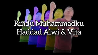 Rindu Muhammadku - Haddad Alwi & Vita (Wawan Meiando Cover)