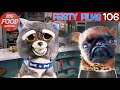 The Dog Food Network! Feisty Films Ep. 106