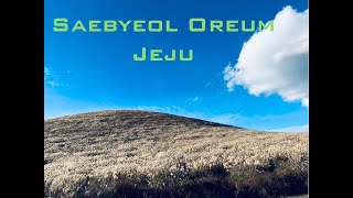 Saebyeol Oreum -Jeju Island-South Korea