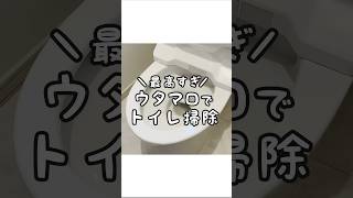 【最高すぎ】ウタマロクリーナーでトイレ掃除をしてみた！