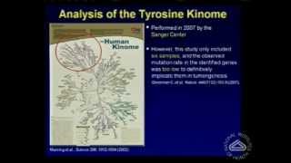 The Genetics of Melanoma: Searching for New Therapeutic Targets - Yardena Samuels