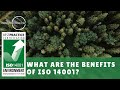 What Are The Benefits Of ISO 14001?