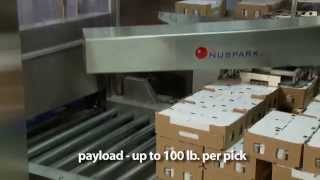 Nuspark Automatic Palletizer \