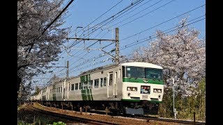 【4K 60P】東海道線　185系「踊り子」117号　米神桜　20190406