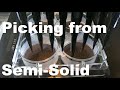Pickolo for Stem-Cells or Hybridoma Clone Picking on Tecan's Fluent