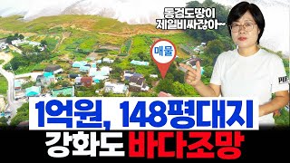 1억원, 148평 대지. 강화도 동검도 바다조망 (매물번호21968)