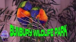 Bunbury Wildlife Park - Western Australia