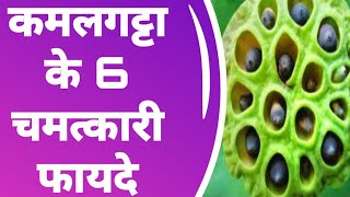 कमलगट्टा खाने के चमत्कारी फायदे | Kamal Gatta Health benefits in hindi |