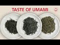 Understanding Umami: A tea tasting journey