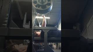 335 bench