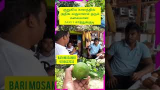 அதிக மகசூல் அதிக வருமானம் தரும் BARI 1 சாத்துக்குடி | PASUMAI BHARATHAM AGRICULTURE SOLUTIONS