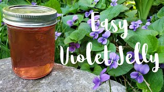 Easy Wild Violet Jelly