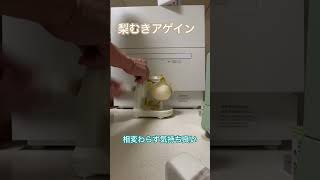 りんご皮むき器での梨むきアゲイン‼️やはり気持ち良く剥ける。