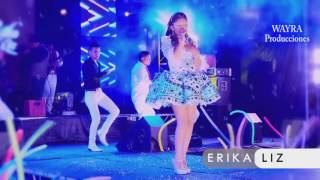 ERIKA LIZ y los Triunfadores del sur AMORCITO ♫ PRIMICIA 2017 EN CONCIERTO