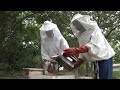 Hive thinking: Beekeeping makes a buzz in Ivory Coast | AFP