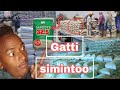 Gaffii keesanii fi  Deebbi Gatti #Simnitoo isinitti hima  Novem30/2023 የስምንቶ ዋጋ🇪🇹👇👇