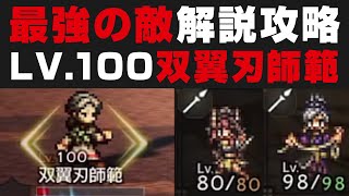 【オクトラ大陸の覇者】最強ボス：Lv.100 双翼刃師範の倒し方解説 / 20T睡眠無し【オクトパストラベラー大陸の覇者攻略検証】★4チェルナ最強　OCTOPATH TRAVELER: CotC