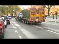 boston s official christmas tree arrives on boston common ahead of holiday lights